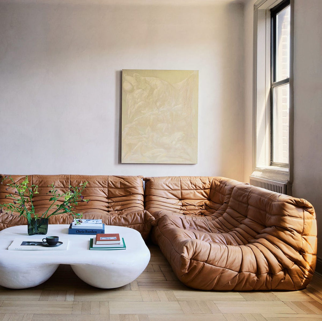 Feng Shui Colors: A Quick Reference Guide for a Harmonious Home (2026 Edition)