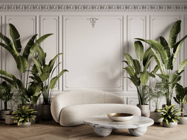 Boucle vs Velvet Sofa: A Complete Material Comparison Guide