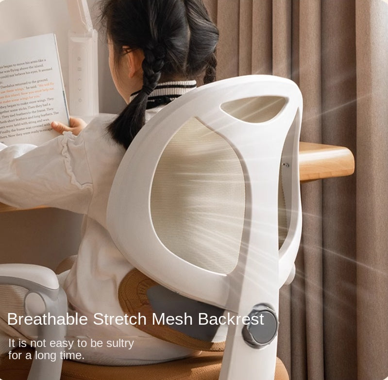 Adjustable Lift Writing Children's Study Chair.