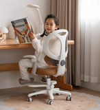 Adjustable Lift Writing Children's Study Chair.