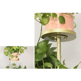 Metal Plant Stand 4-Shelf Gold Plant Pot Stand for Indoor & Outdoor in Large