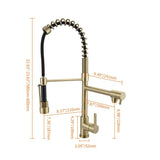 Pull Out Double Spout Kitchen Faucet Brushed Gold Double Function Sprayer Solid Brass