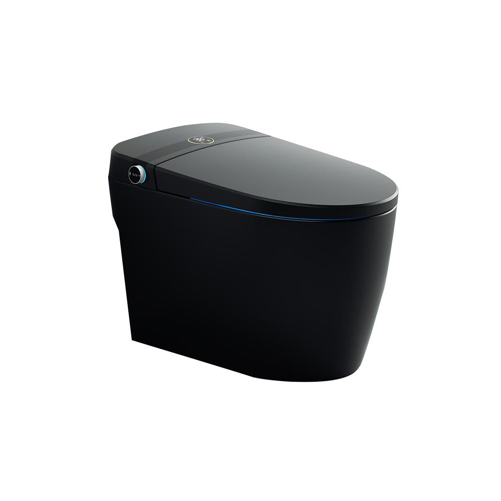 Elongated One-Piece Smart Toilet Floor Mounted Automatic Toilet in Black & Gold Rim