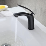 Adolf Matte Black Single Single Handle