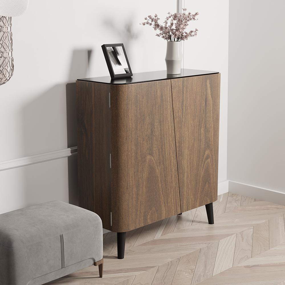 Walnut Shoe Storage Cabinet with 2-Door in Black 14 Pairs