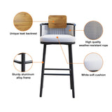 2 Pieces Outdoor Patio Teak & Aluminum 41" Counter Height Bar Stools Set with Backs