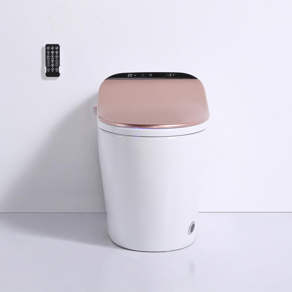 Modern Smart One-Piece 1.27 GPF Floor Mounted Elongated Toilet and Bidet with Seat