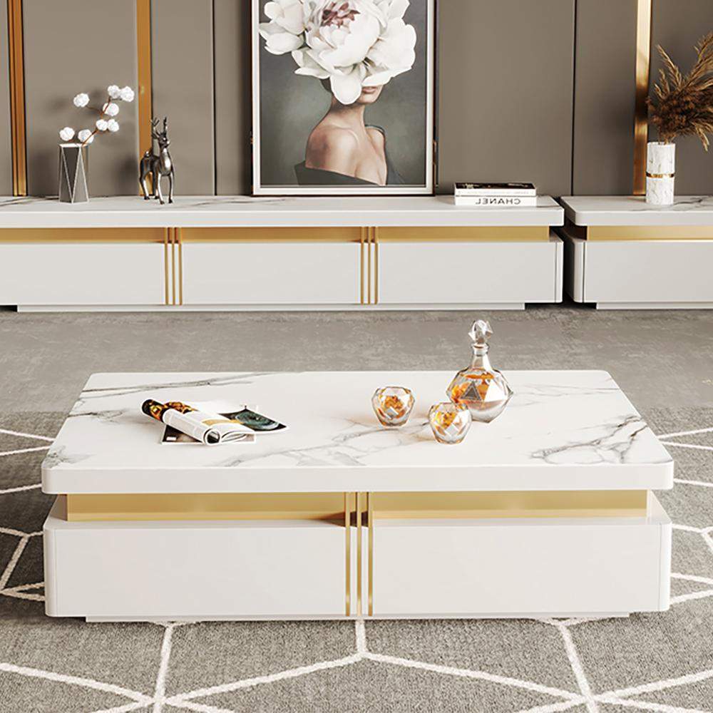 Modern Coffee Table with Storage in Black Center Table with Stainless Steel Base-Richsoul-Coffee Tables,Furniture,Living Room Furniture