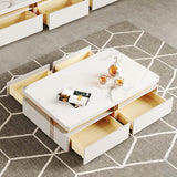 Modern Coffee Table with Storage in Black Center Table with Stainless Steel Base-Richsoul-Coffee Tables,Furniture,Living Room Furniture