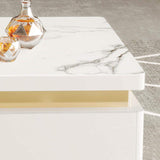 Modern Coffee Table with Storage in Black Center Table with Stainless Steel Base-Richsoul-Coffee Tables,Furniture,Living Room Furniture