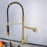 Pull Out Double Spout Kitchen Faucet Brushed Gold Double Function Sprayer Solid Brass