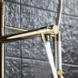 Brewst Luxury Single Hole Pull Out Sprayer Double Spout Kitchen Faucet Solid Brass
