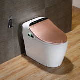 Modern Smart One-Piece 1.27 GPF Floor Mounted Elongated Toilet and Bidet with Seat