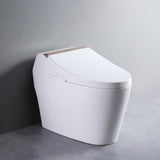 One-Piece Elongated Smart Toilet Floor Mounted Automatic Toilet Self-Clean