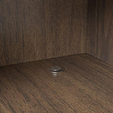 Walnut Shoe Storage Cabinet with 2-Door in Black 14 Pairs