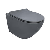 Modern Blue One-Piece Round Wall Mounted Toilet Ceramic Simplism