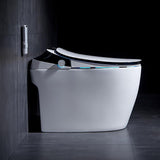 Automatic Toilet One-Piece Floor Mounted Self Clean Smart Toilet Tankless