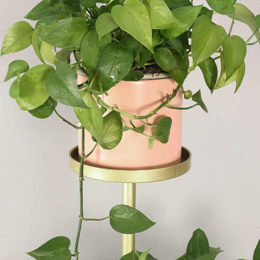 Metal Plant Stand 4-Shelf Gold Plant Pot Stand for Indoor & Outdoor in Large
