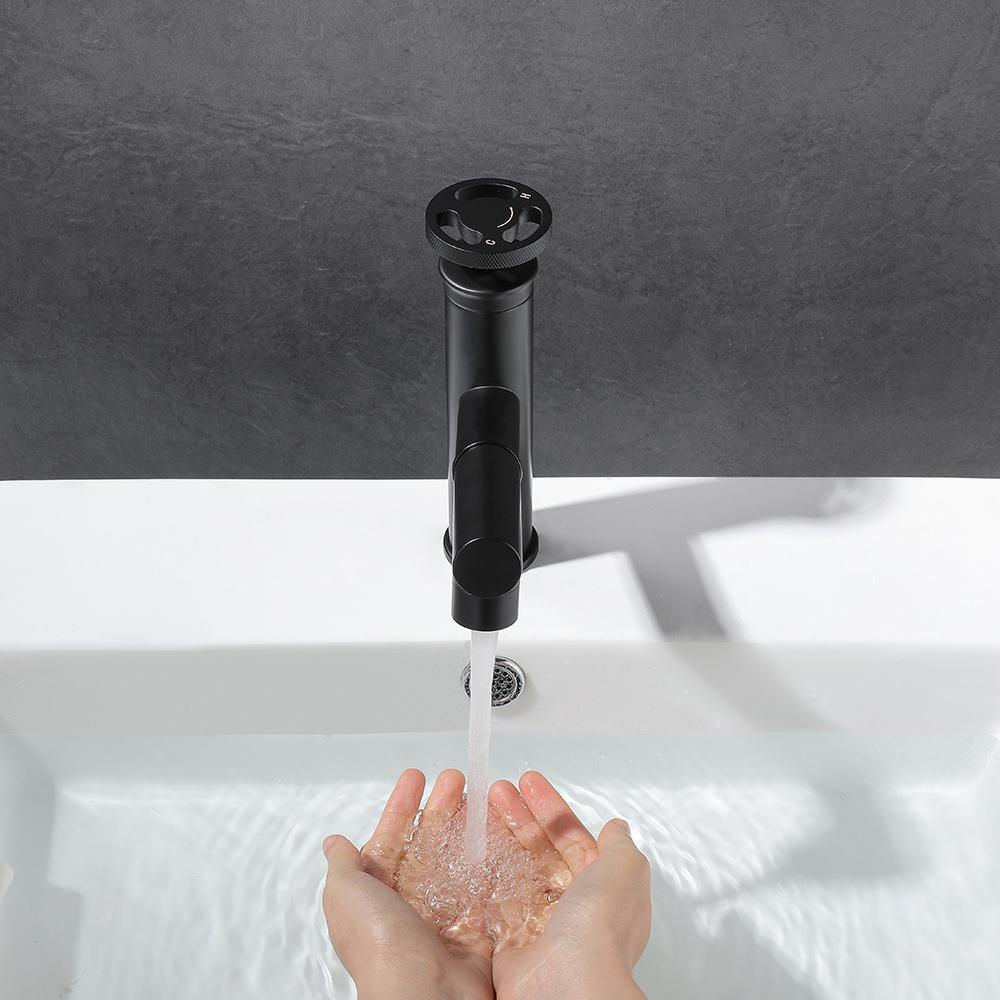 Ruth Industrial Pipe 1-Hole Pull Out Bathroom Sink Faucet Matte Black 1-Handles Solid Brass