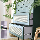 Modern Dresser Cabinet Drawer Storage with 8 Drawers in Green