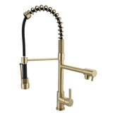 Pull Out Double Spout Kitchen Faucet Brushed Gold Double Function Sprayer Solid Brass