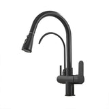 Water Filter Kitchen Faucet Pull Out Faucet in Matte Black Swirling Faucet Solid Brass