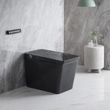 Black Smart One-Piece Floor Square Toilet with Remote Control and Automatic Cover