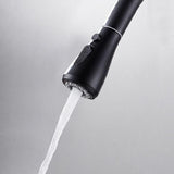 Water Filter Kitchen Faucet Pull Out Faucet in Matte Black Swirling Faucet Solid Brass