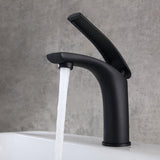 Adolf Matte Black Single Handle One-Hole Bathroom Sink Faucet Solid Brass
