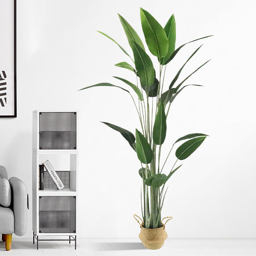 70.9"Artificial Canna Tree 1 Piece Faux Indoor Plant