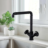 Ruth Industrial Matte Black Single Hole Kitchen Faucet Brass Double Handle