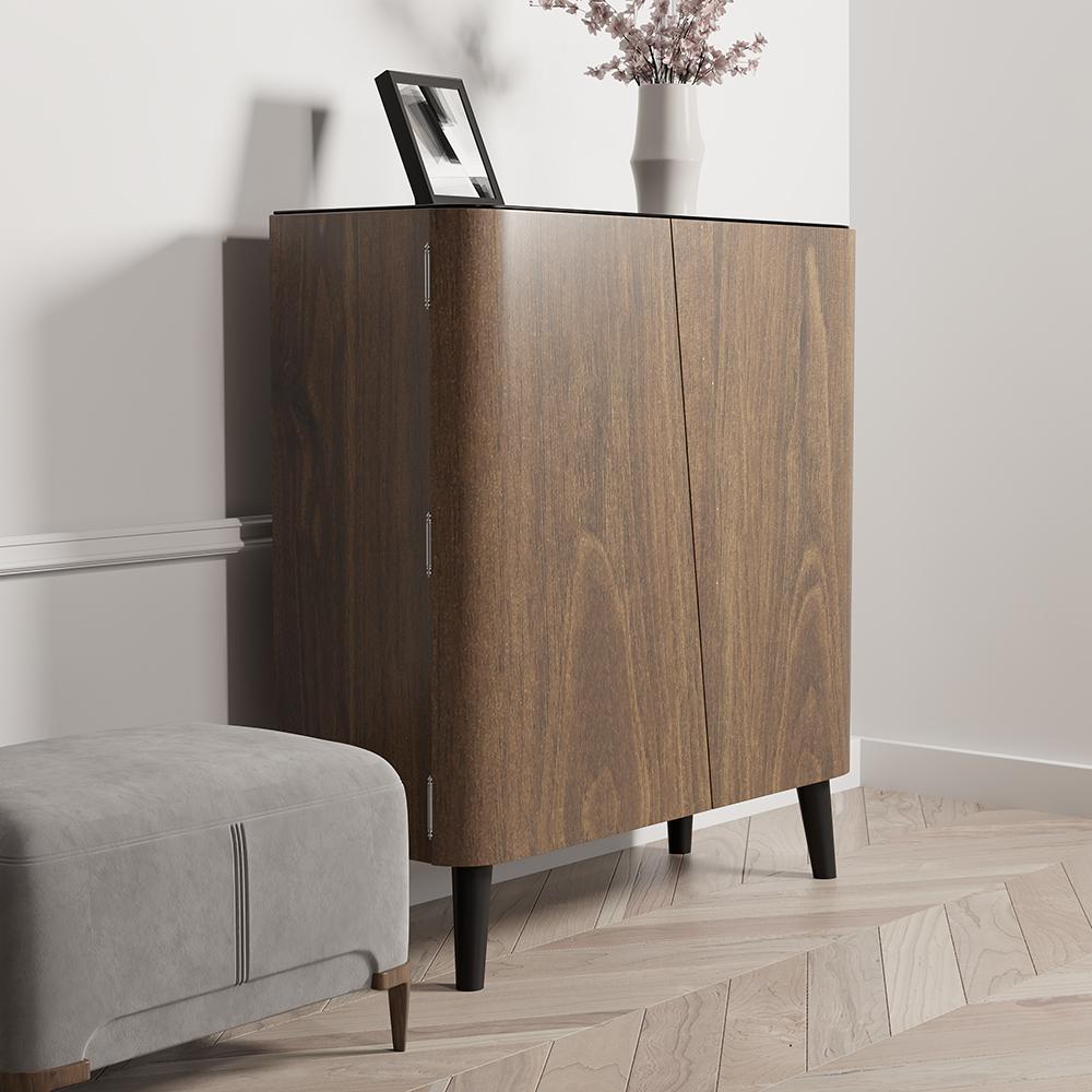 Walnut Shoe Storage Cabinet with 2-Door in Black 14 Pairs