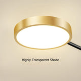 Modern Semi Flush Mount Lighting Gold Ceiling Light Fixture LED Ring