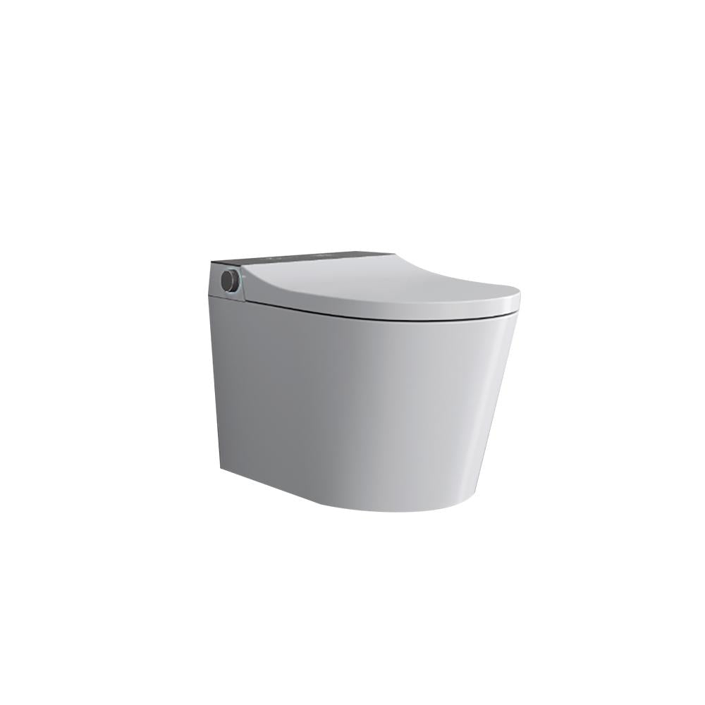 Elongated One-Piece Wall Mounted Automatic Toilet with In-Wall Tank & Carrier System