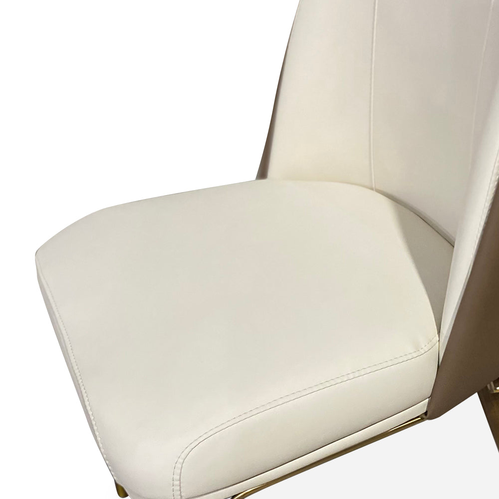 Modern Beige & Coffee Set of 2 Dining Chairs PU Upholstered with Stainless Steel Legs