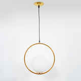 Ring Globe Single Pendant Light Glass Globe Contemporary Minimalist