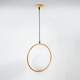 Ring Globe Single Pendant Light Glass Globe Contemporary Minimalist