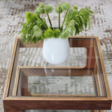 Modern Glass Side Table with 3 Tiers S-shaped End Table in Walnut-Richsoul-End & Side Tables,Furniture,Living Room Furniture