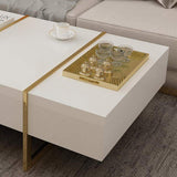 White Rectangular Coffee Table with Stainless Steel Base & Storage-Richsoul-Coffee Tables,Furniture,Living Room Furniture
