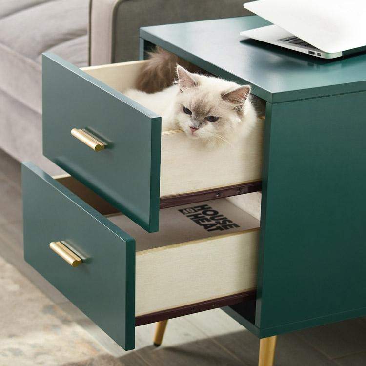 Green End Table with Storage Living Room Side Table 2 Drawer & Open Storage-Richsoul-End & Side Tables,Furniture,Living Room Furniture