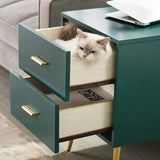 Green End Table with Storage Living Room Side Table 2 Drawer & Open Storage-Richsoul-End & Side Tables,Furniture,Living Room Furniture