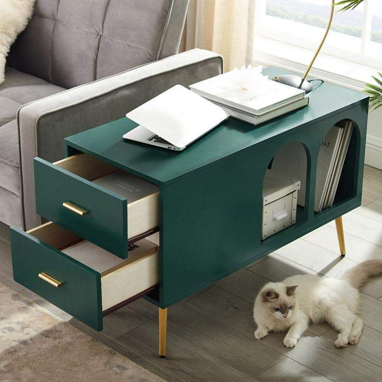 Green End Table with Storage Living Room Side Table 2 Drawer & Open Storage-Richsoul-End & Side Tables,Furniture,Living Room Furniture