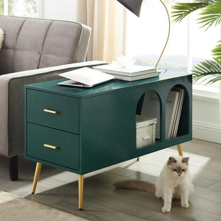Green End Table with Storage Living Room Side Table 2 Drawer & Open Storage-Richsoul-End & Side Tables,Furniture,Living Room Furniture