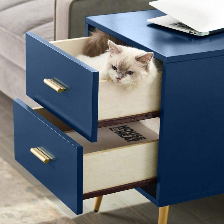 Green End Table with Storage Living Room Side Table 2 Drawer & Open Storage-Richsoul-End & Side Tables,Furniture,Living Room Furniture