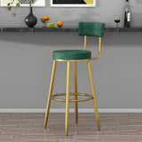 Round Green Bar Height Stool Velvet Upholstery with Back & Golden Footrest