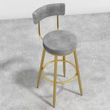 Round Gray Bar Height Stool Velvet Upholstery with Back & Golden Footrest