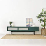 Modern Green TV Stand for 70 inch TV with 2 Drawers & 2 Doors & Rattan Decorated-Richsoul-Furniture,Living Room Furniture,TV Stands
