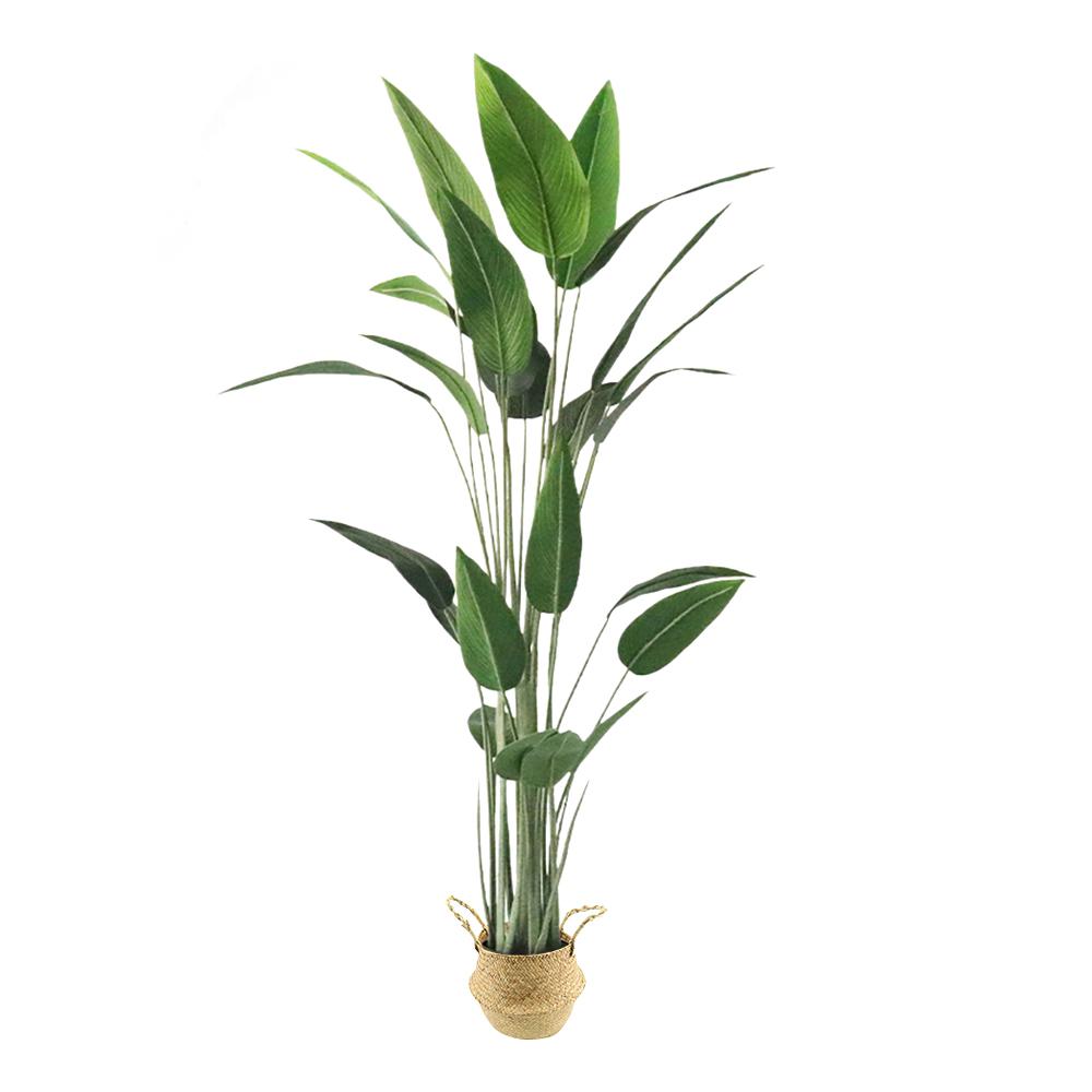 70.9"Artificial Canna Tree 1 Piece Faux Indoor Plant