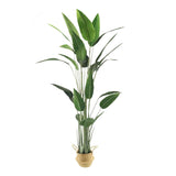 70.9"Artificial Canna Tree 1 Piece Faux Indoor Plant