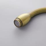 Stev Classic Antique Brass Goosenecked Single Handle 1-Hole Kitchen Faucet Solid Brass